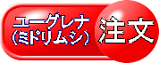 ユーグレナ(ミドリムシ)注文はここをクリック